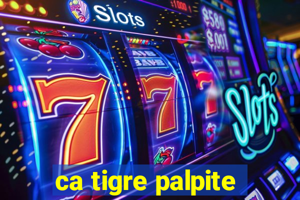 ca tigre palpite